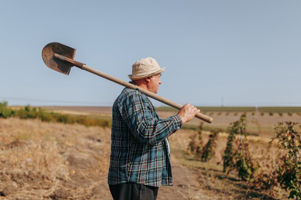 Agricultural Mastery in 4K Senior Farmer Standing Tall in the Countryside